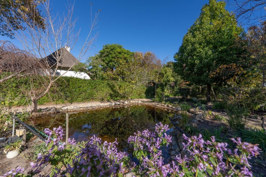 5 Bedroom Property for Sale in Greyton Western Cape